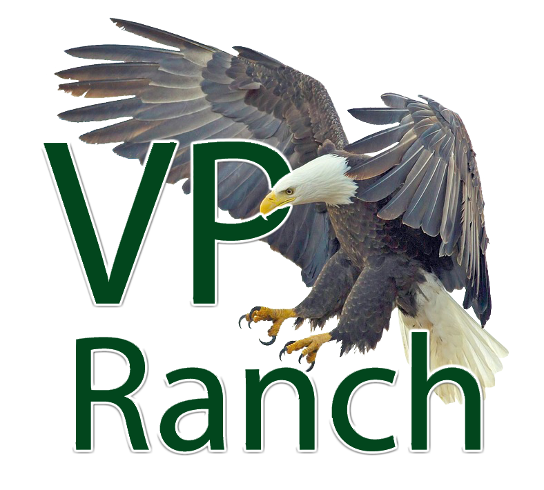 VP Ranch